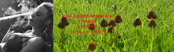 спиды Балабаново